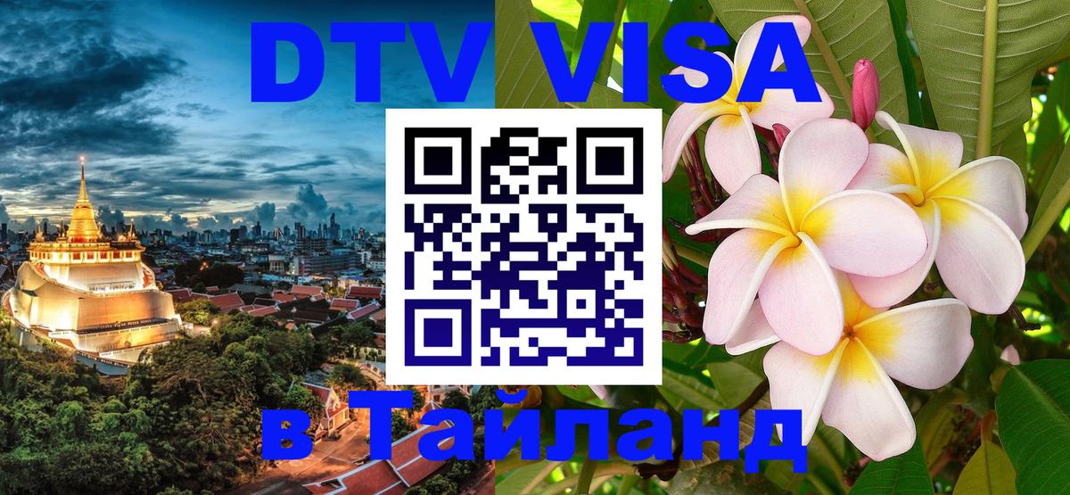 Оформление DTV визы под ключ: стоимость и тарифы, только загранпаспорт - 